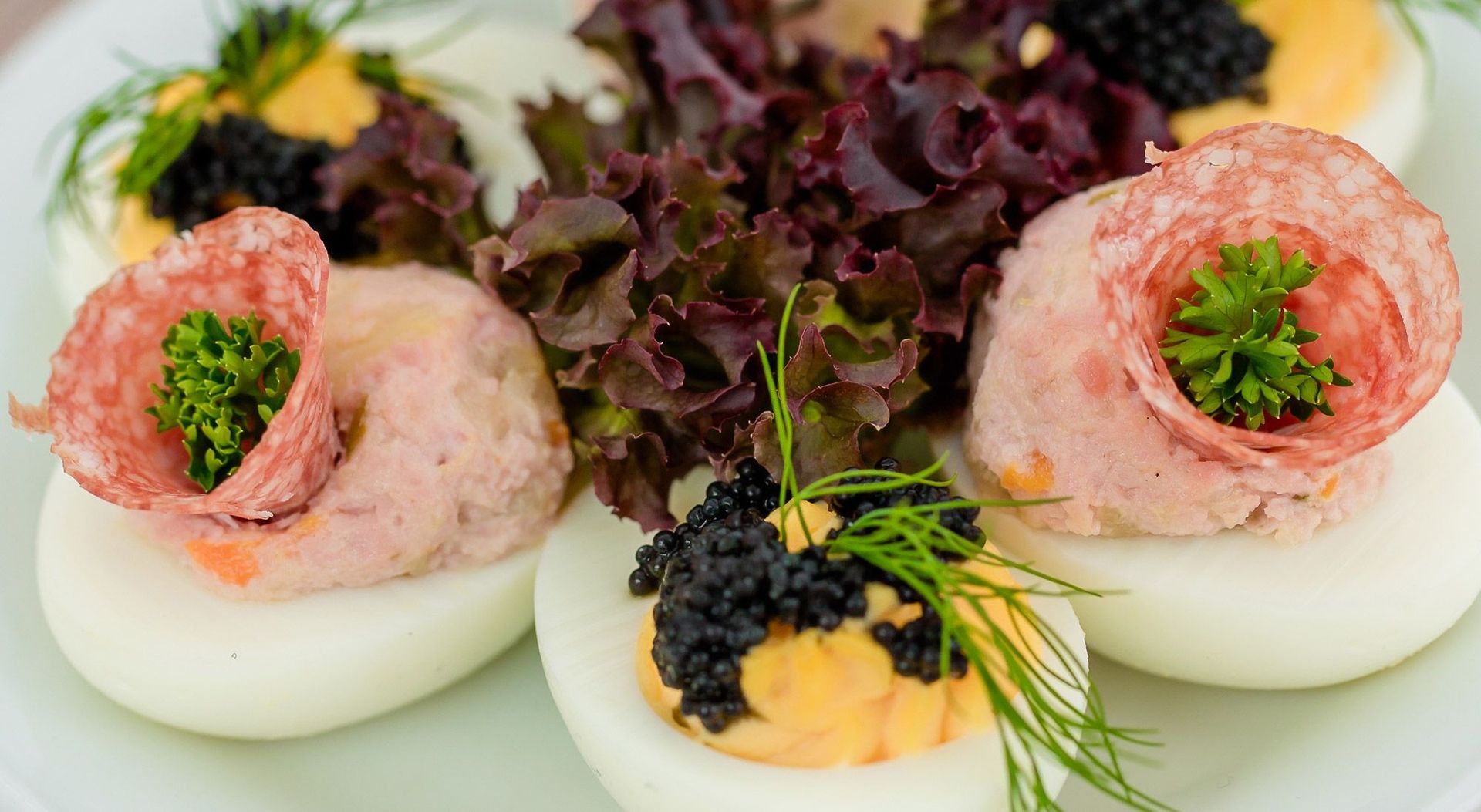 Salat auf einem Brötchen